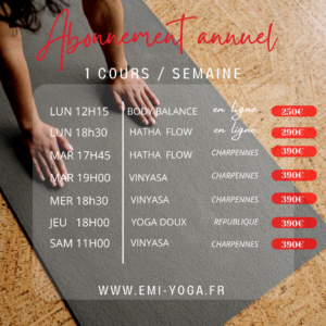 Emilie Cosson - professeur de yoga - meditation - lyon - villeurbanne - yin yoga - relaxation - vinyasa - hatha yoga - retraite yoga - we yoga - cours collectifs - atelier yoga - yoga thérapie - soins - RENTREE 2025
