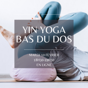 Emilie Cosson - professeur de yoga - meditation - lyon - villeurbanne - vinyasa - hatha yoga - retraite yoga - YIN YOGA - bas du dos - dos - AYURVEDA - MEDECINE CHINOISE - RELAXATION - SAVASANA