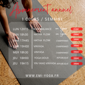 Emilie Cosson - professeur de yoga - meditation - lyon - villeurbanne - yin yoga - relaxation - vinyasa - hatha yoga - retraite yoga - we yoga - cours collectifs - atelier yoga - yoga thérapie - soins - RENTREE 2026